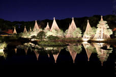 183509_1.jpg  : 63 KB