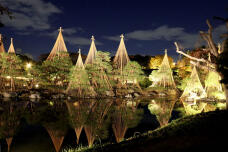 183509_3.jpg  : 96 KB