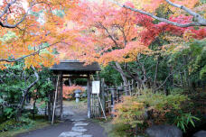 183525_1.jpg  : 169 KB