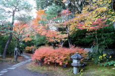 183525_2.jpg  : 168 KB