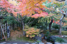 183525_3.jpg  : 140 KB