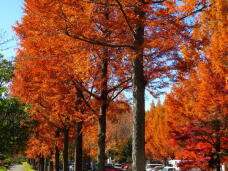 183534_2.jpg  : 121 KB