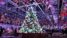 183537_1.jpg  : 324 KB