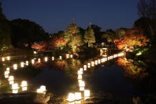 183545_1.jpg  : 69 KB