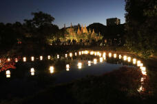 183545_2.jpg  : 59 KB