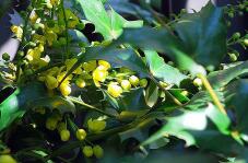 183546_1.jpg  : 107 KB