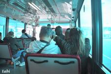 183553_9.jpg  : 66 KB