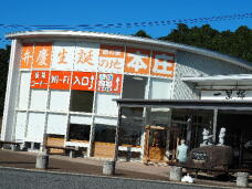 183555_3.jpg  : 75 KB