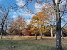 183558_1.jpg  : 138 KB