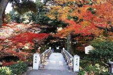 183566_1.jpg  : 195 KB