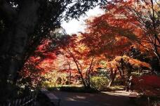 183566_2.jpg  : 158 KB