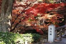 183566_3.jpg  : 189 KB