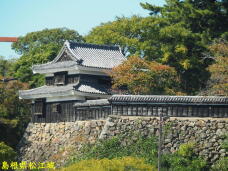 183573_2.jpg  : 97 KB