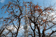 183594_1.jpg  : 439 KB