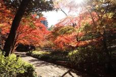 183597_2.jpg  : 173 KB