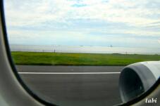 183601_3.jpg  : 31 KB