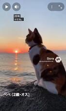 183602_1.jpg  : 174 KB