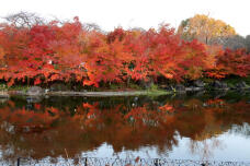 183609_2.jpg  : 107 KB