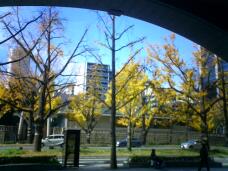 183613_1.jpg  : 127 KB