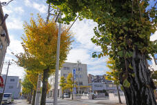 183620_2.jpg  : 315 KB