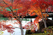 183623_1.jpg  : 159 KB