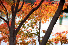 183623_2.jpg  : 137 KB