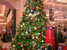 183645_1.jpg  : 127 KB