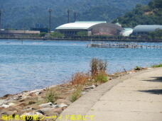 183650_3.jpg  : 65 KB