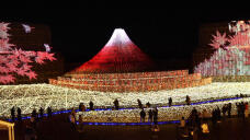 183655_2.jpg  : 135 KB