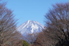 183754_1.jpg  : 308 KB