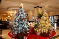 183757_2.jpg  : 101 KB