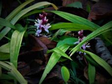 183767_1.jpg  : 70 KB