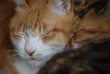 183803_3.jpg  : 60 KB