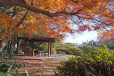 183831_1.jpg  : 480 KB