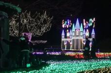 183835_1.jpg  : 122 KB