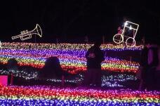 183835_3.jpg  : 131 KB