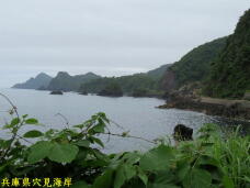 183841_2.jpg  : 43 KB