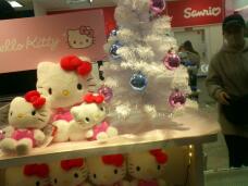 183850_1.jpg  : 118 KB