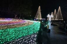 183851_1.jpg  : 122 KB