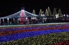 183851_2.jpg  : 163 KB