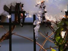 183861_1.jpg  : 69 KB