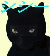 183868_1.jpg  : 7 KB