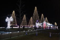 183872_3.jpg  : 126 KB