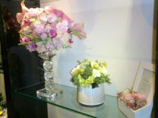 183890_1.jpg  : 165 KB