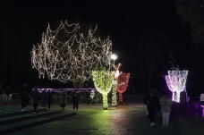 183891_3.jpg  : 91 KB