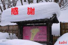 183894_1.jpg  : 144 KB