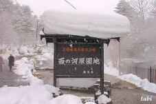 183894_2.jpg  : 86 KB