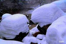 183894_4.jpg  : 64 KB