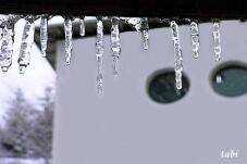 183894_5.jpg  : 38 KB