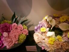 183904_1.jpg  : 165 KB